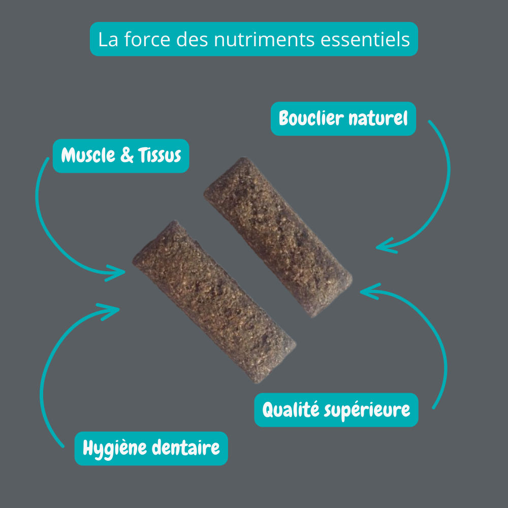 Biscuit croquant à saveur de foie de porc