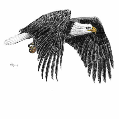 Bald Eagle - Animal Art Print