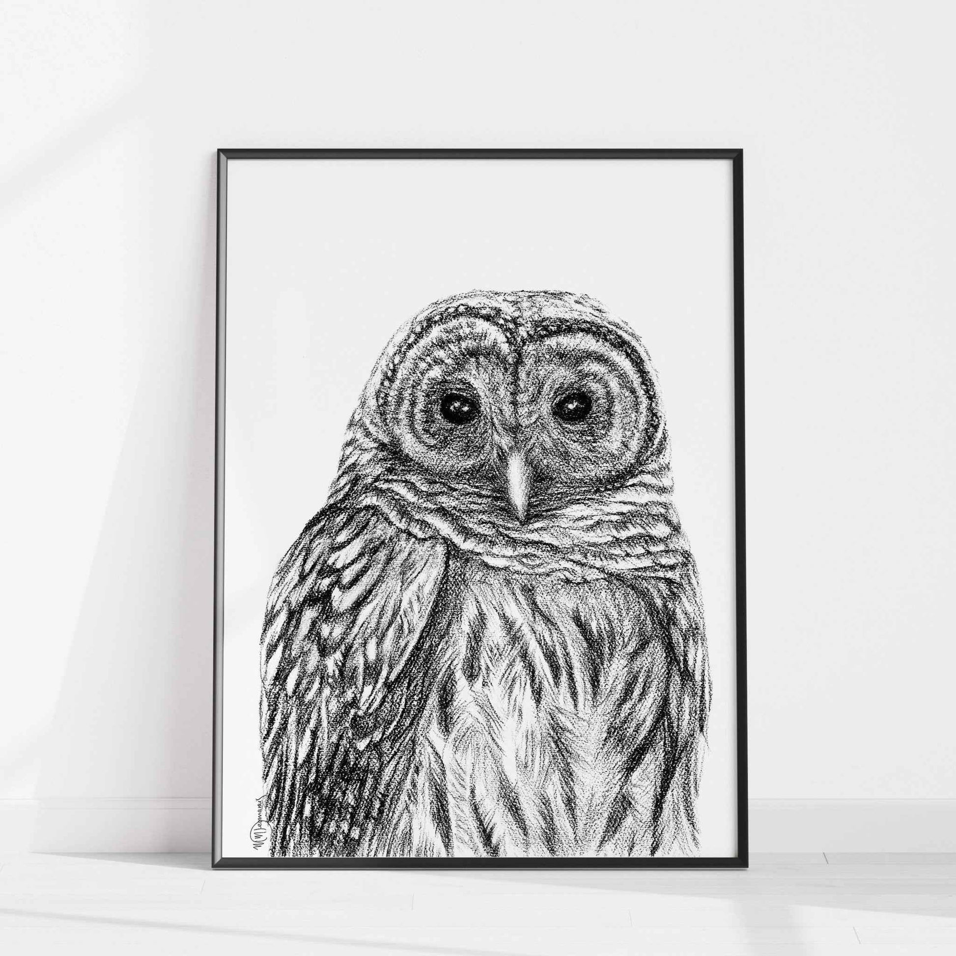 Barred Owl - Paper art Print