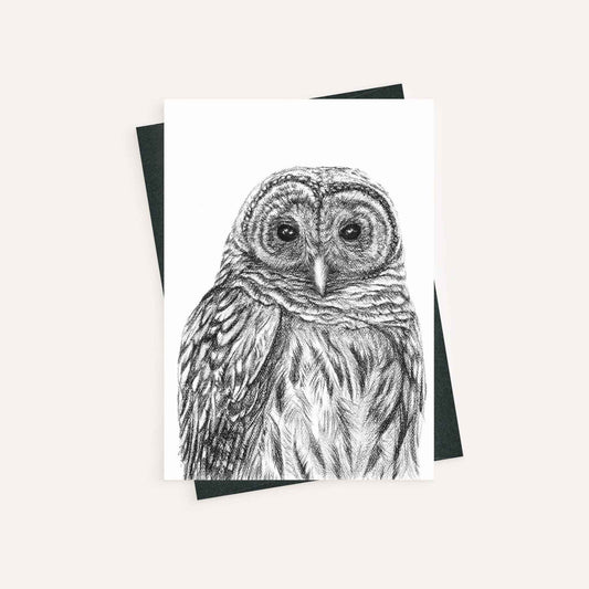Barred Owl - greeting card