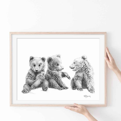 3 Brown Bear Cubs -  Illustration