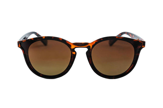 Maribel – Round Pantos Sunglasses | Bolero Eyewear