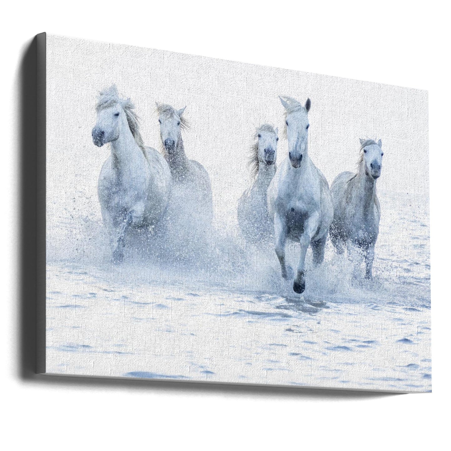 Wandbild Galoppierende Pferde