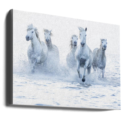 Wandbild Galoppierende Pferde