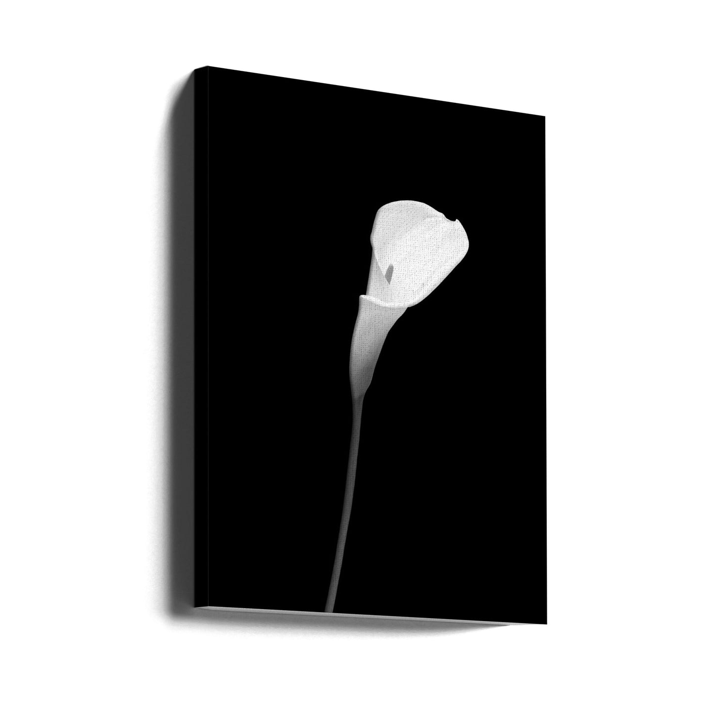 Wandbild Calla | dunkles Design
