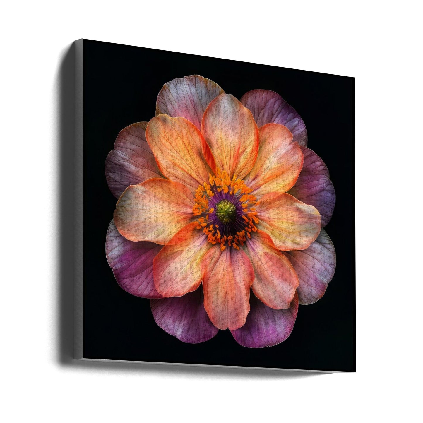 Wandkunst Makro Fl auf Sw 20