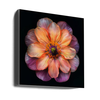 Wandkunst Makro Fl auf Sw 20
