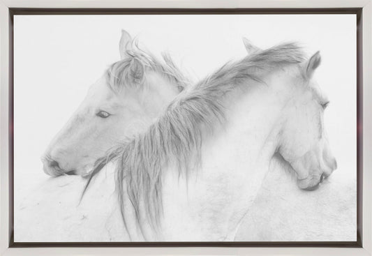 Horses