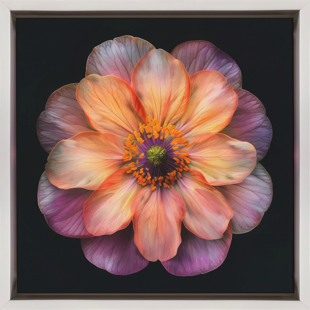 Wandkunst Makro Fl auf Sw 20