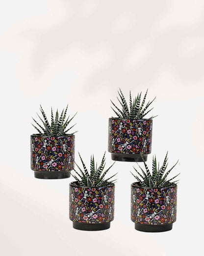Day of the Dead Pot