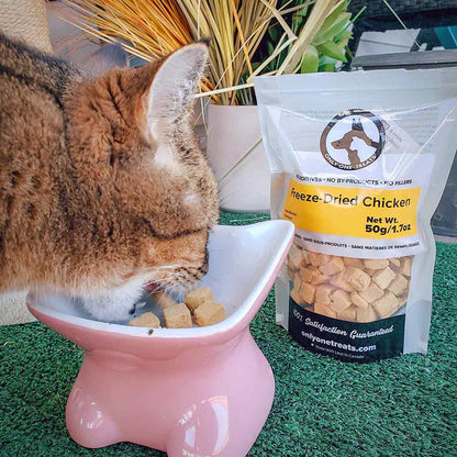 Freeze-Dried Chicken 50g