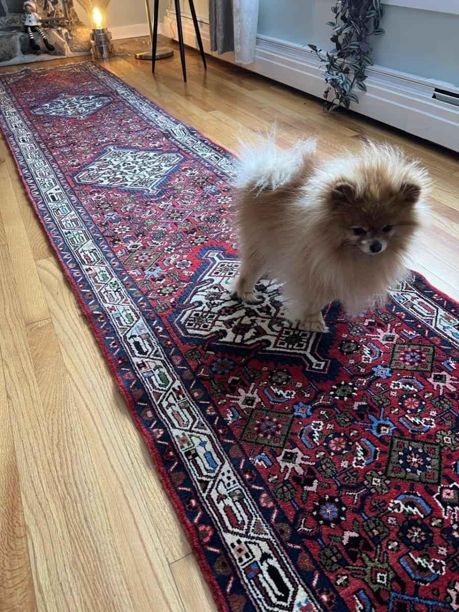 Hamadan Asadabad Runner | 12' 8" x 2' 5"