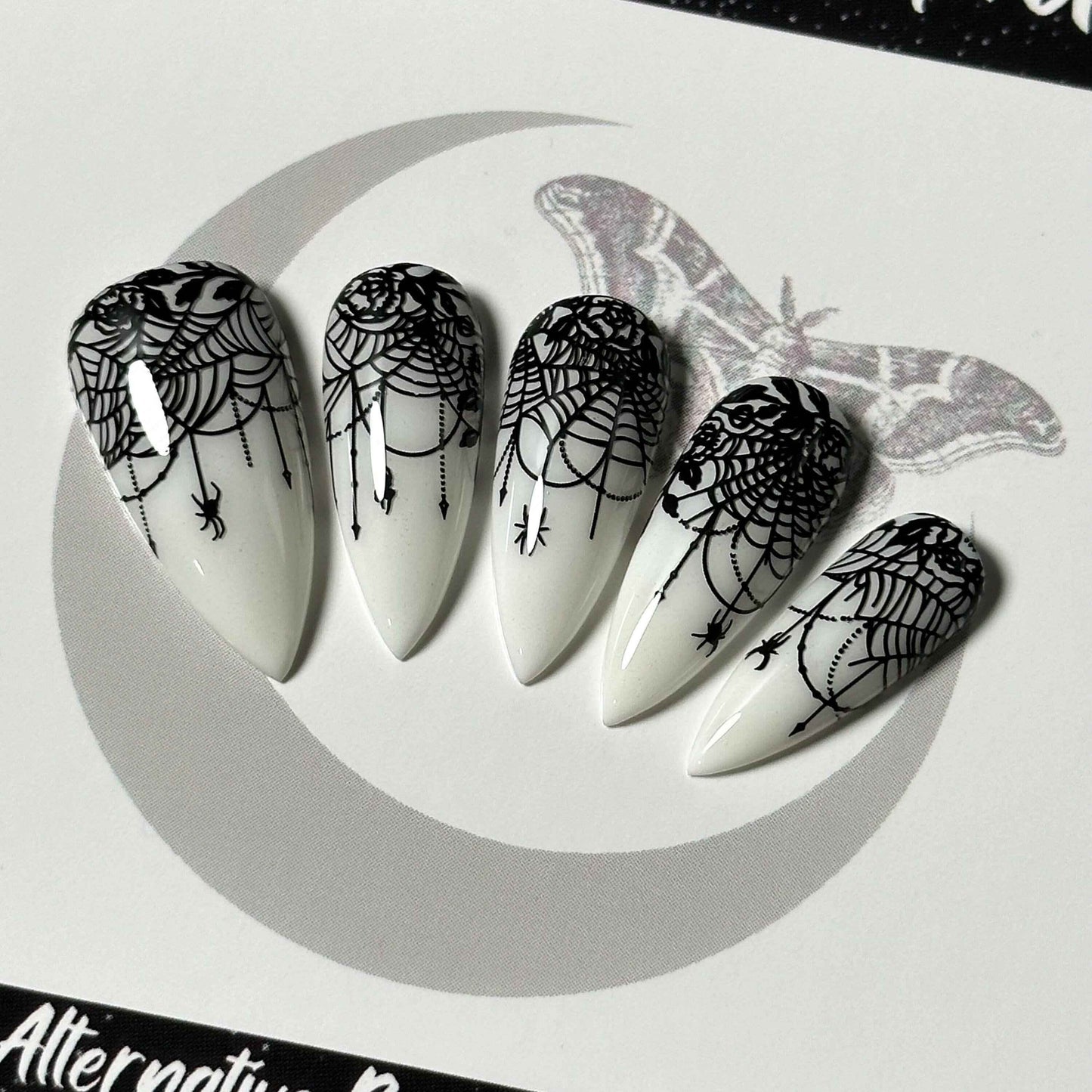 Lace-Web Chic
