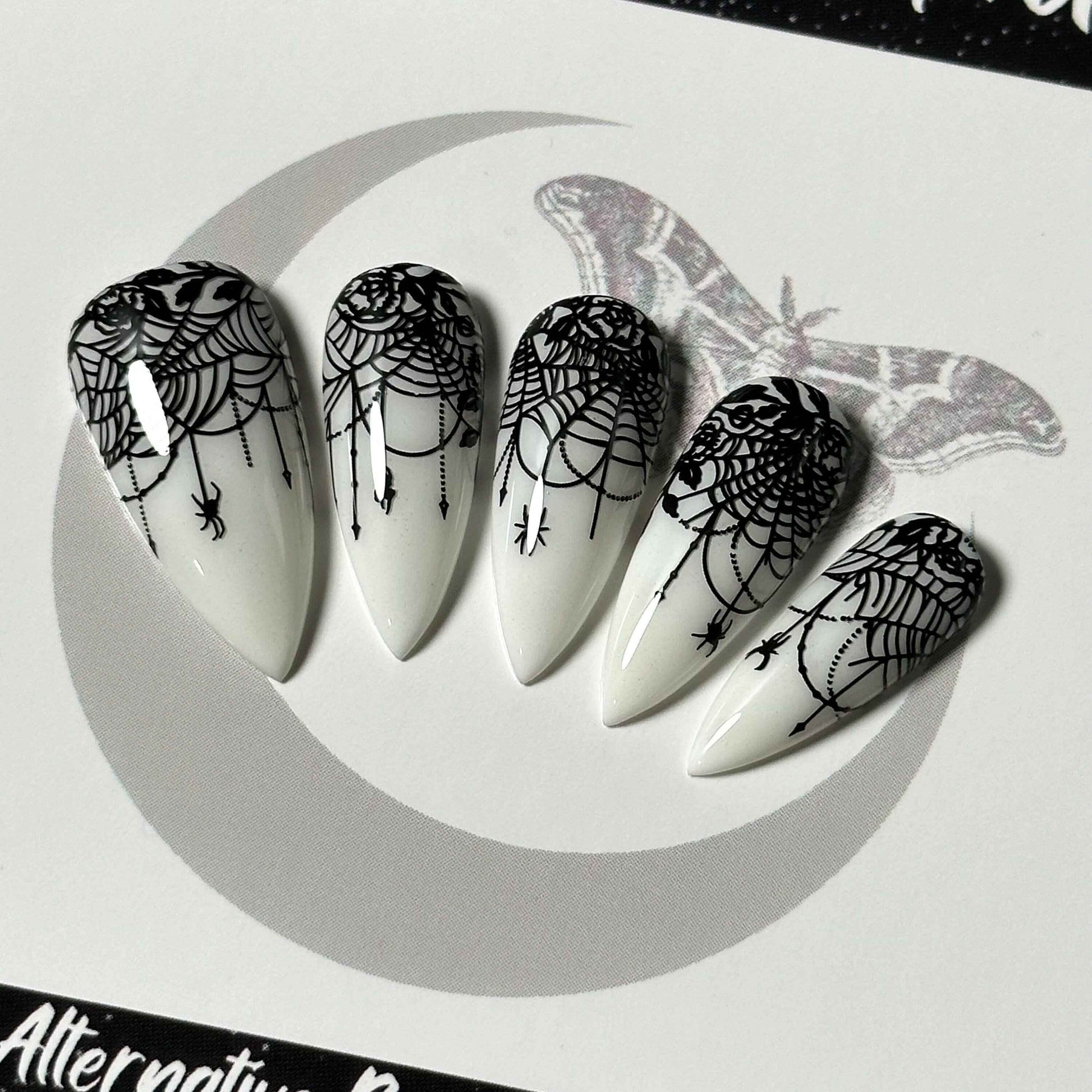Lace-Web Chic
