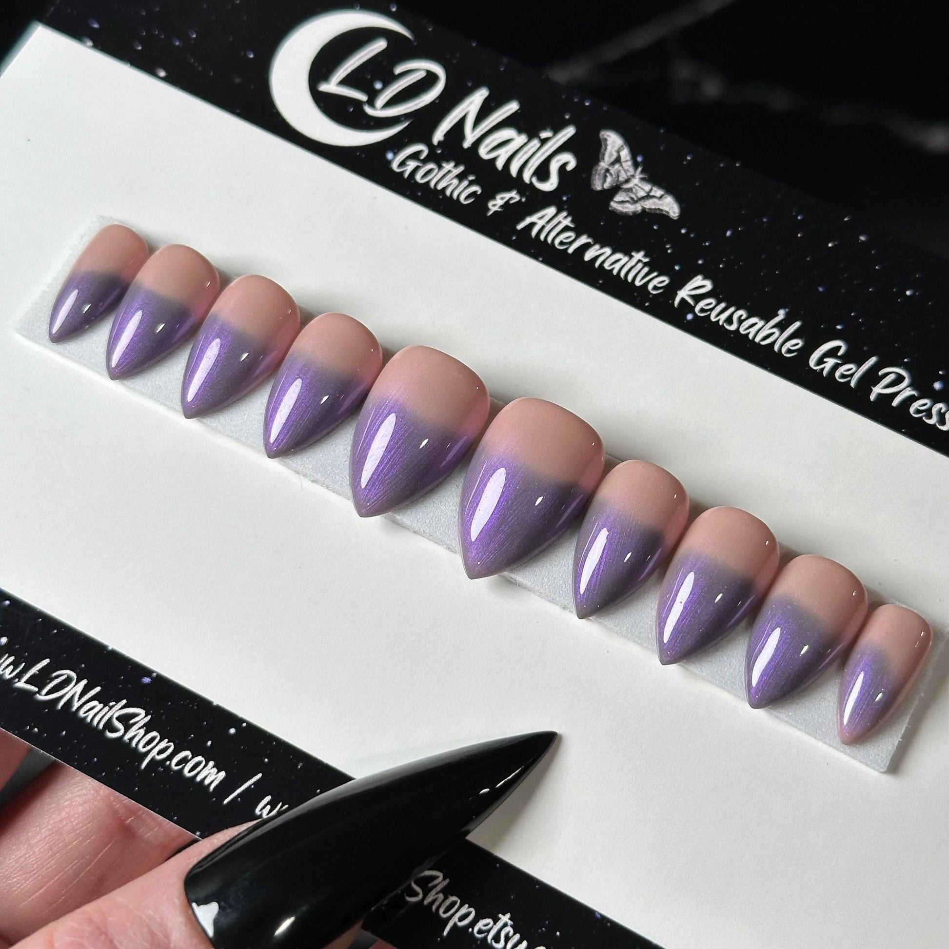 Lavender Blush