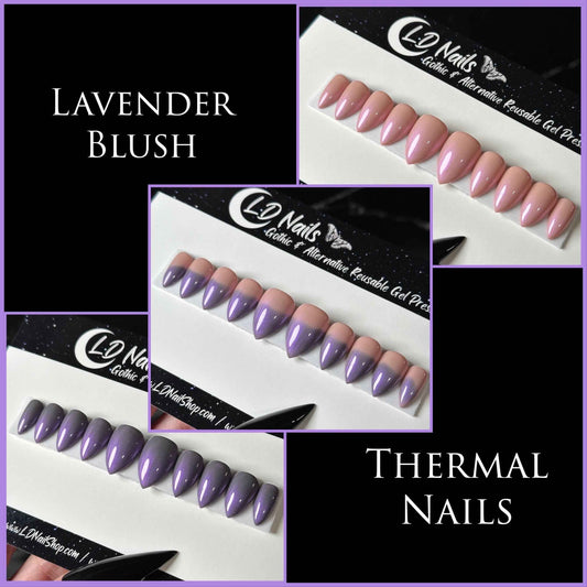 Lavender Blush
