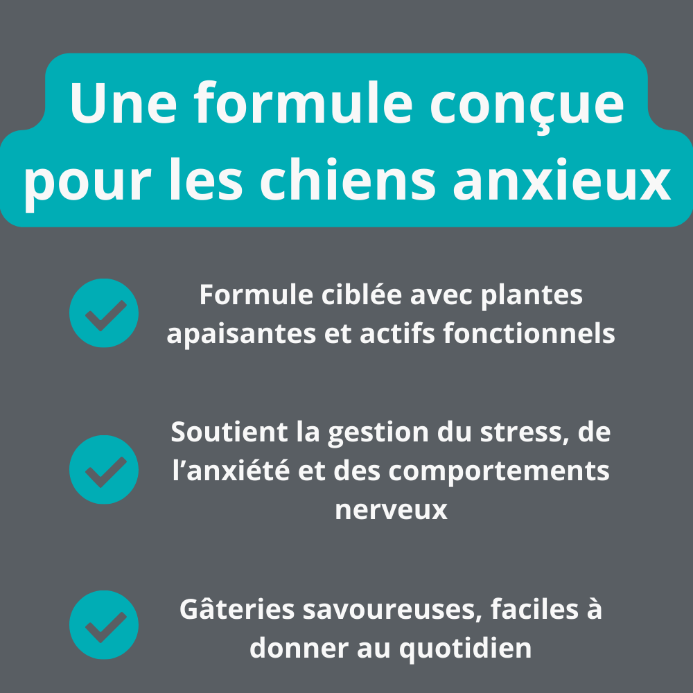 Gâterie calmante pour chien
