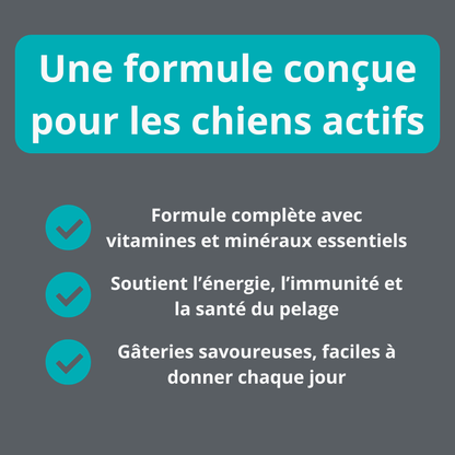 Gâterie multivitamine pour chien