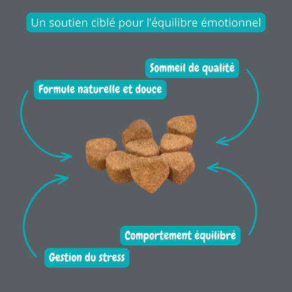 Gâterie calmante pour chien