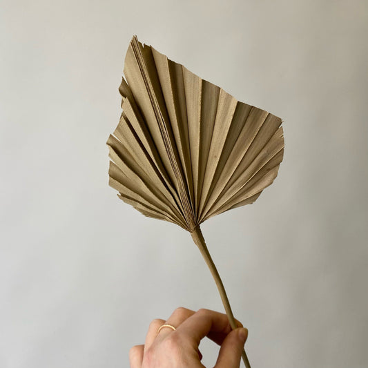 Beschnittene Palmetto
