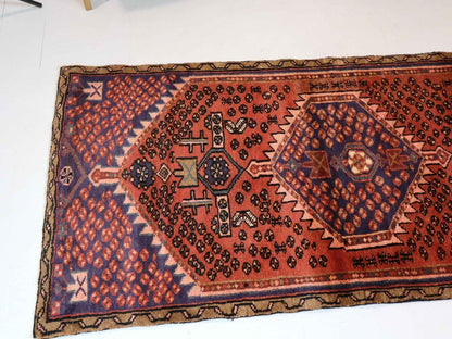 Persian Hamedan Rug | 2' 9” x 6'