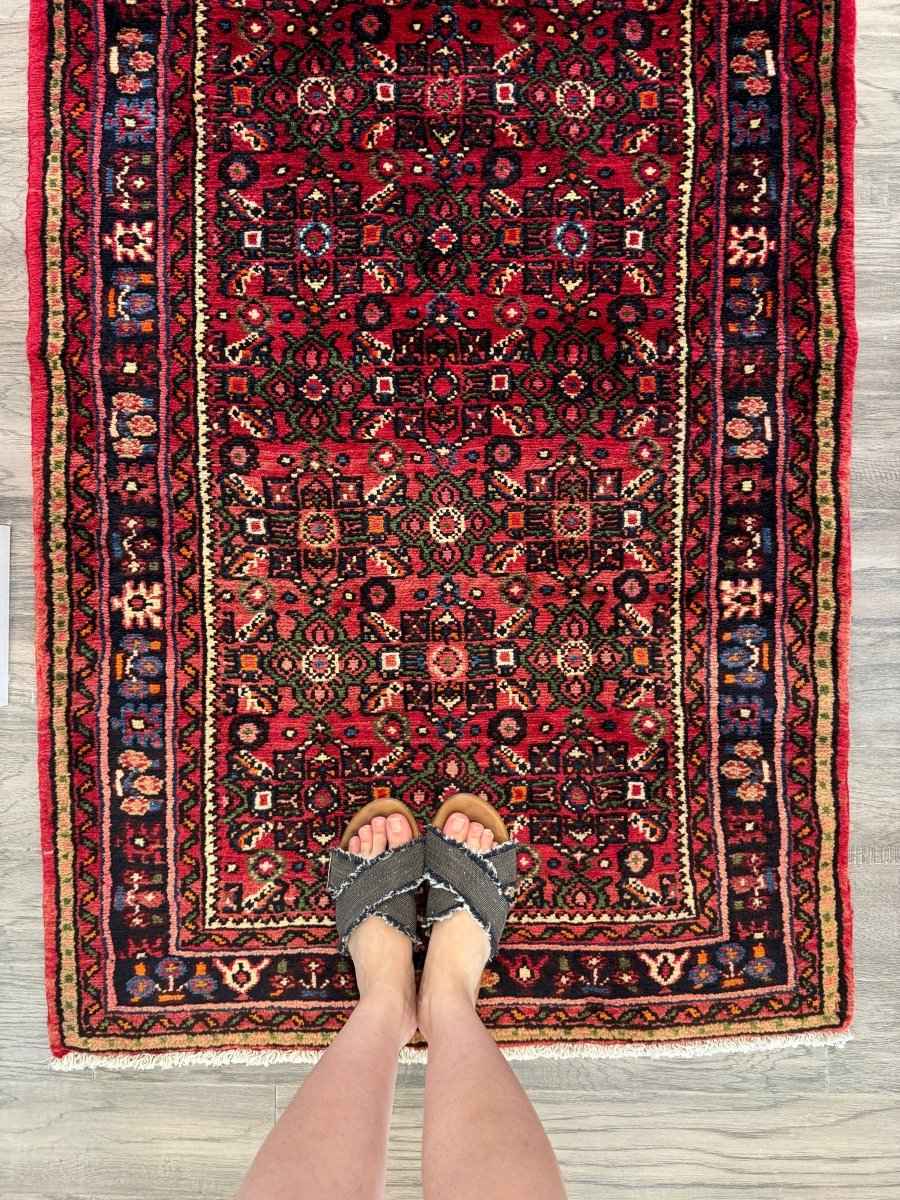 Persian Hosseinabad Runner Rug | 2' 11" x 9' 10"