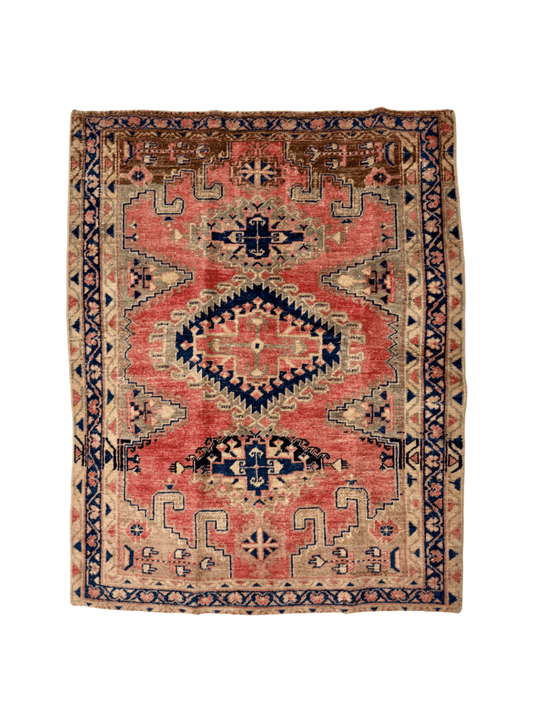 Persian Viss Rug | 4’ x 5'