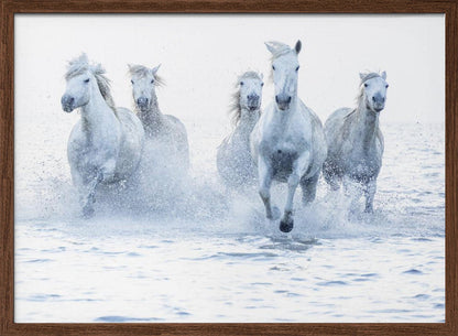 Wandbild Galoppierende Pferde