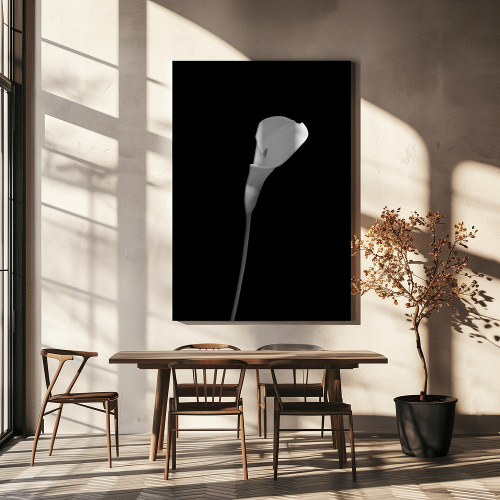 Wandbild Calla | dunkles Design