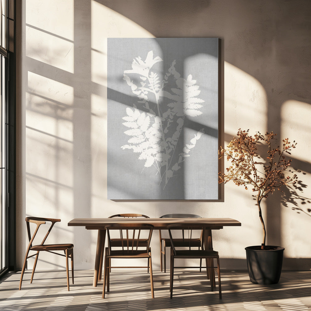 Wall art Botanical Illustration 5