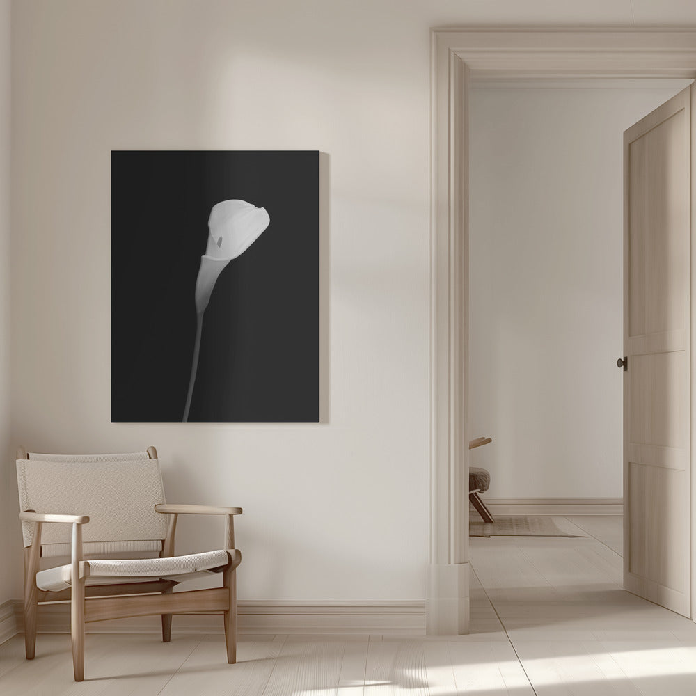 Wandbild Calla | dunkles Design