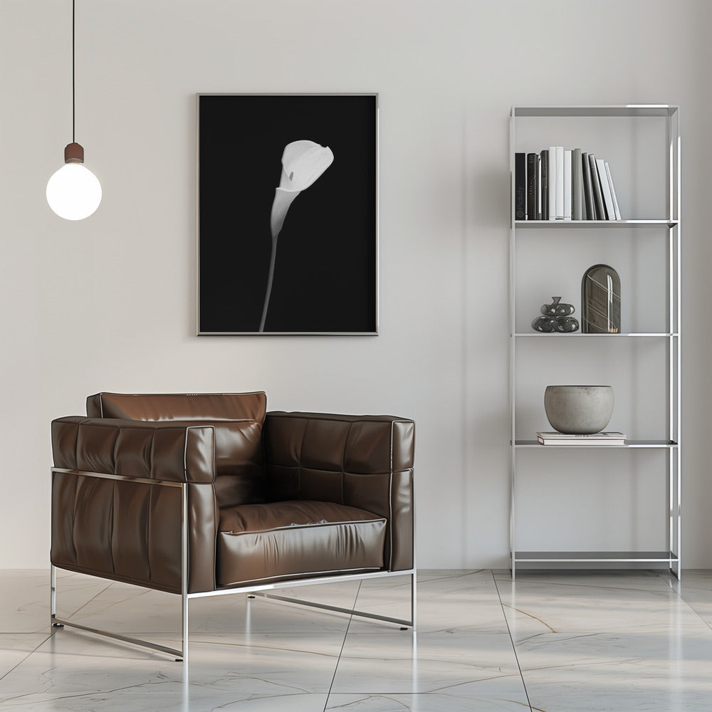 Wandbild Calla | dunkles Design
