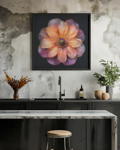 Wandkunst Makro Fl auf Sw 20