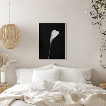 Wandbild Calla | dunkles Design