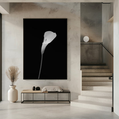 Wandbild Calla | dunkles Design