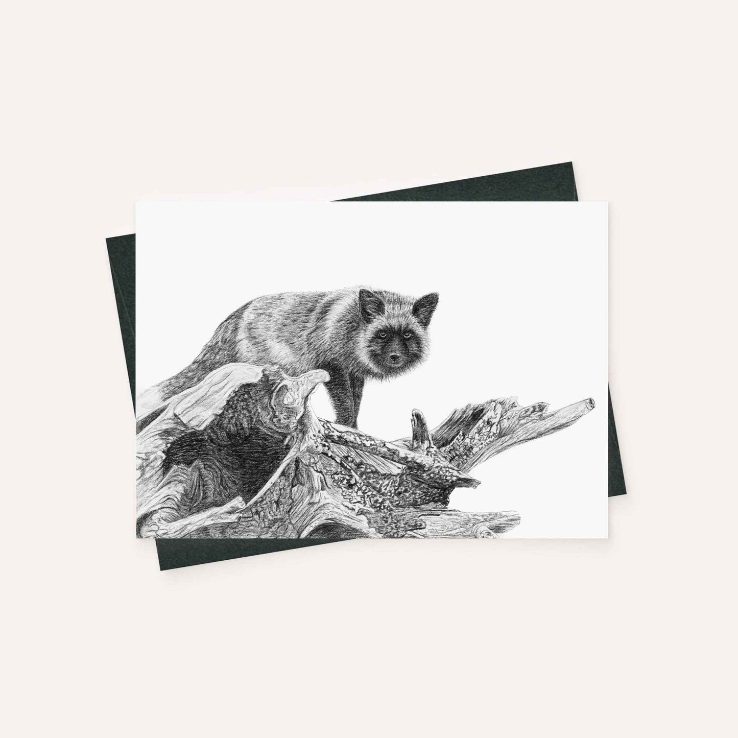 The silver fox - greeting card